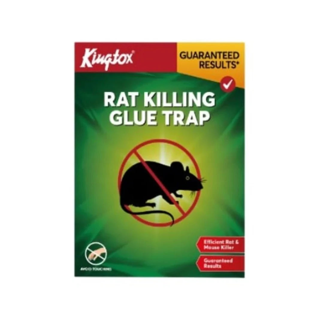 KINGTOX MOUSE&RAT KILLER GLUE TRAP