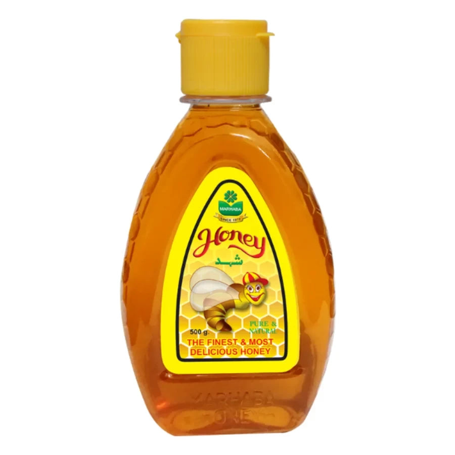 LANGNESE HONEY 500G